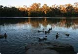 Car Rental Blackburn from USD 15.58/day - Australia Car Rental Blackburn from USD 15.58/day - Australia