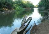 Car Rental Canoas from USD 15.87/day - Brazil Car Rental Canoas from USD 15.87/day - Brazil