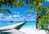 Car Rental French Polynesia Car Rental French Polynesia