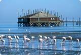 Car Rental Walvis Bay from USD 31.45/day - Namibia Car Rental Walvis Bay from USD 31.45/day - Namibia