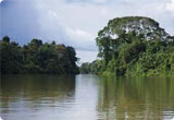 Alquiler de Coches Surinam Alquiler de Coches Surinam